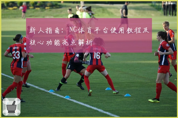 新人指南：NG体育平台使用教程及核心功能亮点解析